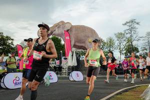 BIB: 
                            <button type="button" onclick="openModal(26528267)" class="btn btn-primary btn-sm float-right btn-popup" data-toggle="modal" data-target=".modal-high-quality">
                        <i class="fas fa-shopping-cart"></i> Add to Cart
                    </button>
                                            <button type="button" onclick="isThisMe(26528267, true)" class="btn btn-success btn-sm float-right btn-popup btn-isme hidden" data-toggle="tooltip" data-placement="bottom" title="นี่คือรูปของคุณใช่ไหม คลิกที่นี่เพื่อเอาเข้าอัลบั้ม">
                        <i class="fas fa-plus"></i> Add to album
                    </button>
                    <button type="button" onclick="isThisMe(26528267, false)" class="btn btn-warning btn-sm float-right btn-popup btn-isnotme hidden">
                        <i class="fas fa-ban"></i> Remove from album
                    </button>